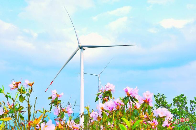 Scenery of wind power plant in E China’s Jiangxi