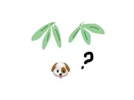 竹子下面一條狗，為何就是“笑”
