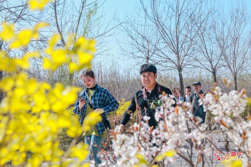 Tourists view flowers in NW China’s Xinjiang