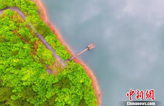 Aerial view of fog-enveloped park in E China’s Jiangxi