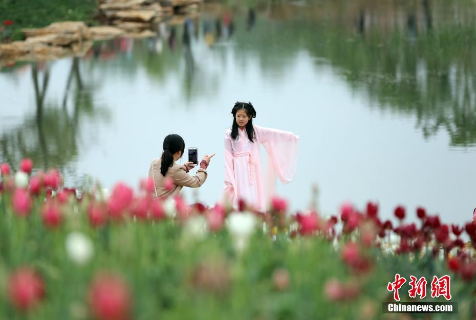 A visit to Tulip Festival in NW China’s Shaanxi Province