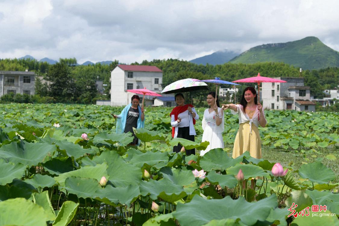 Tourists enjoy lotus in N China's Hubei
