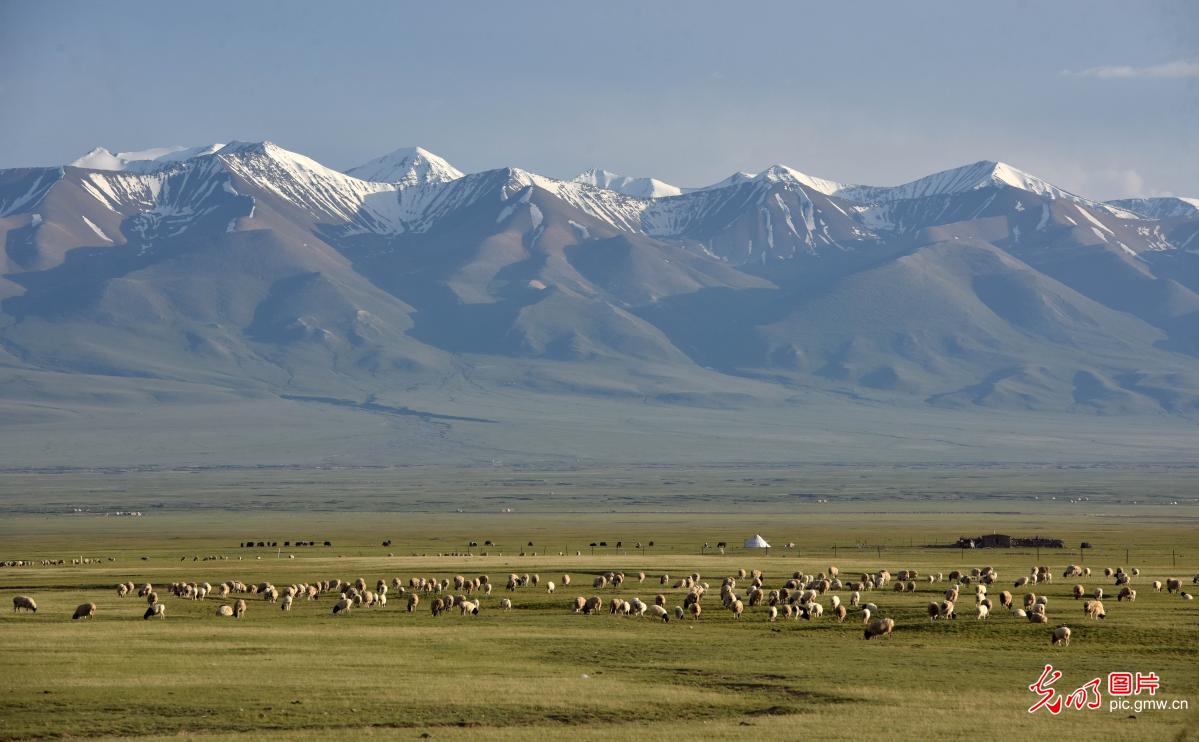 Picturesque scenery at Bayanbulak Grassland in Xinjiang