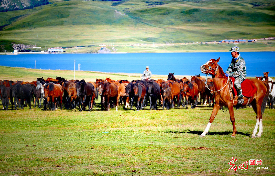 Scenery of Shandan Horse Ranch in NW China's Gansu