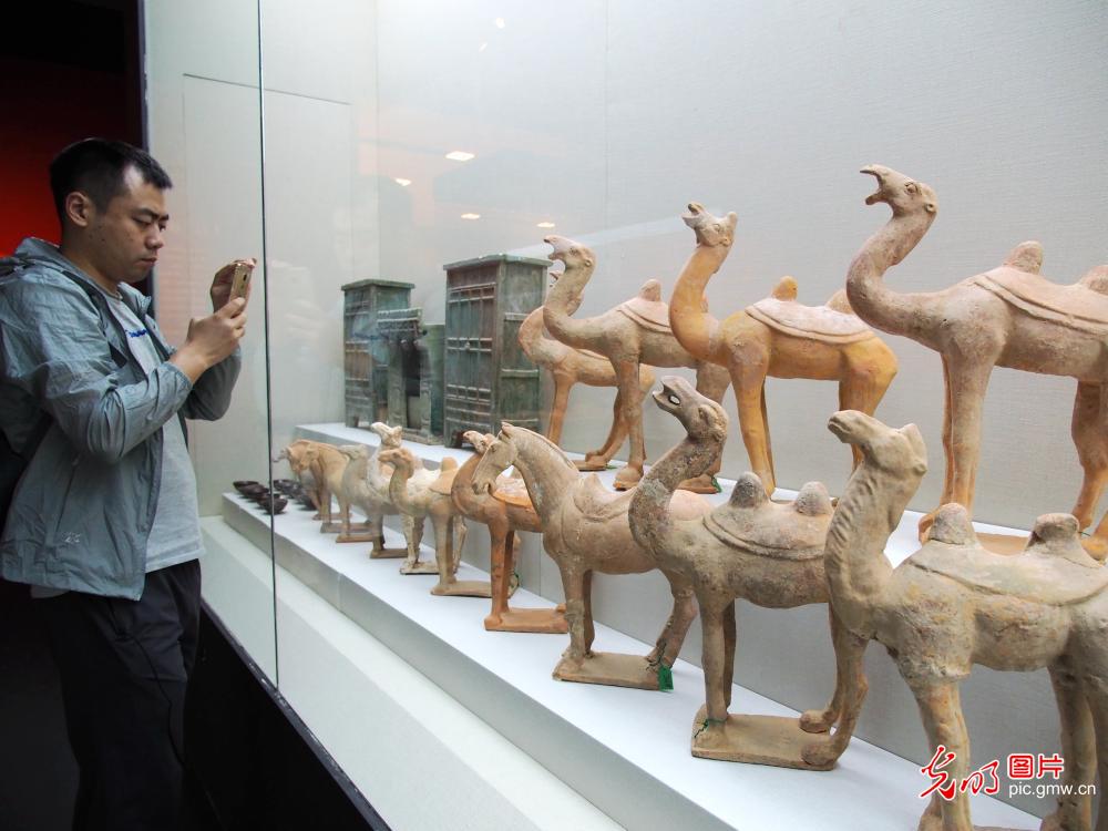 Exhibition opens to show China's achievements in cultural relic retrieval
