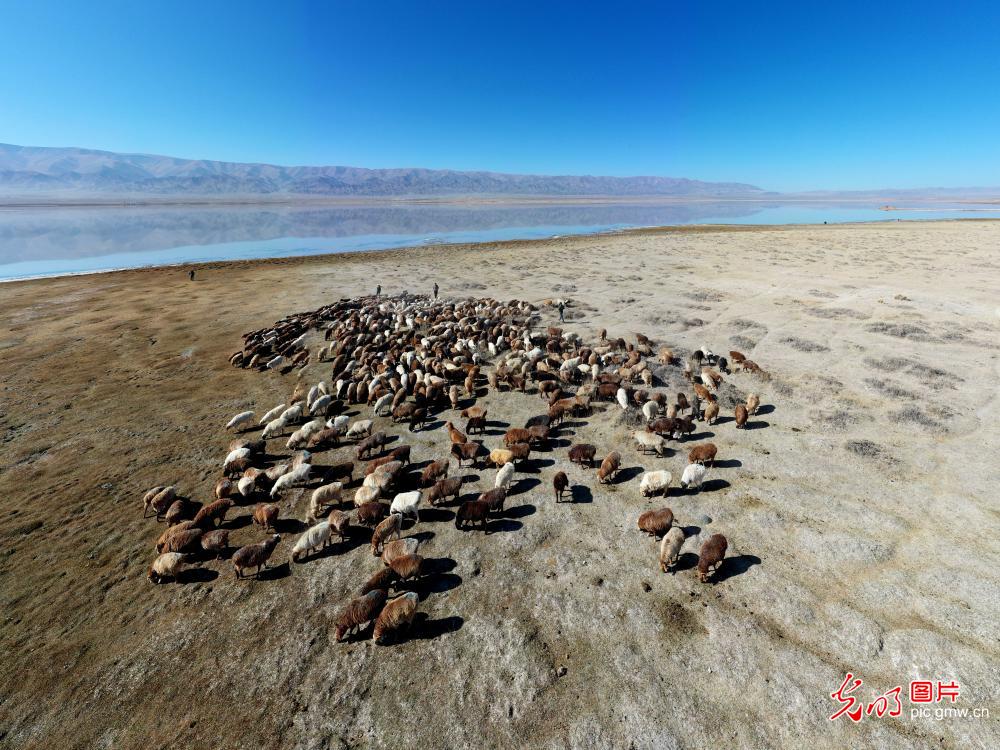 Autumn scenery of Huancai Lake in NW China's Xinjiang