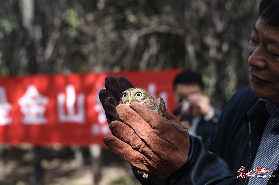 58 rehabilitated wild animals released back into the wild