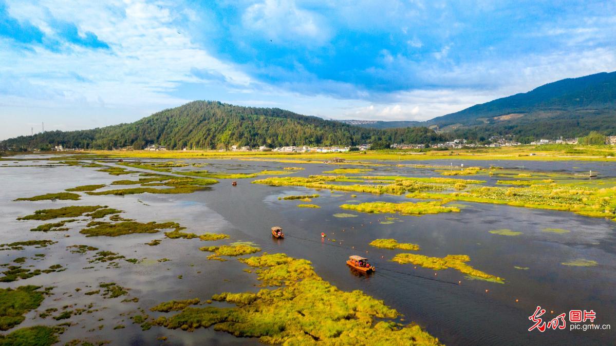 Beautiful wetland scenery in Tengchong, SW China’s Yunnan