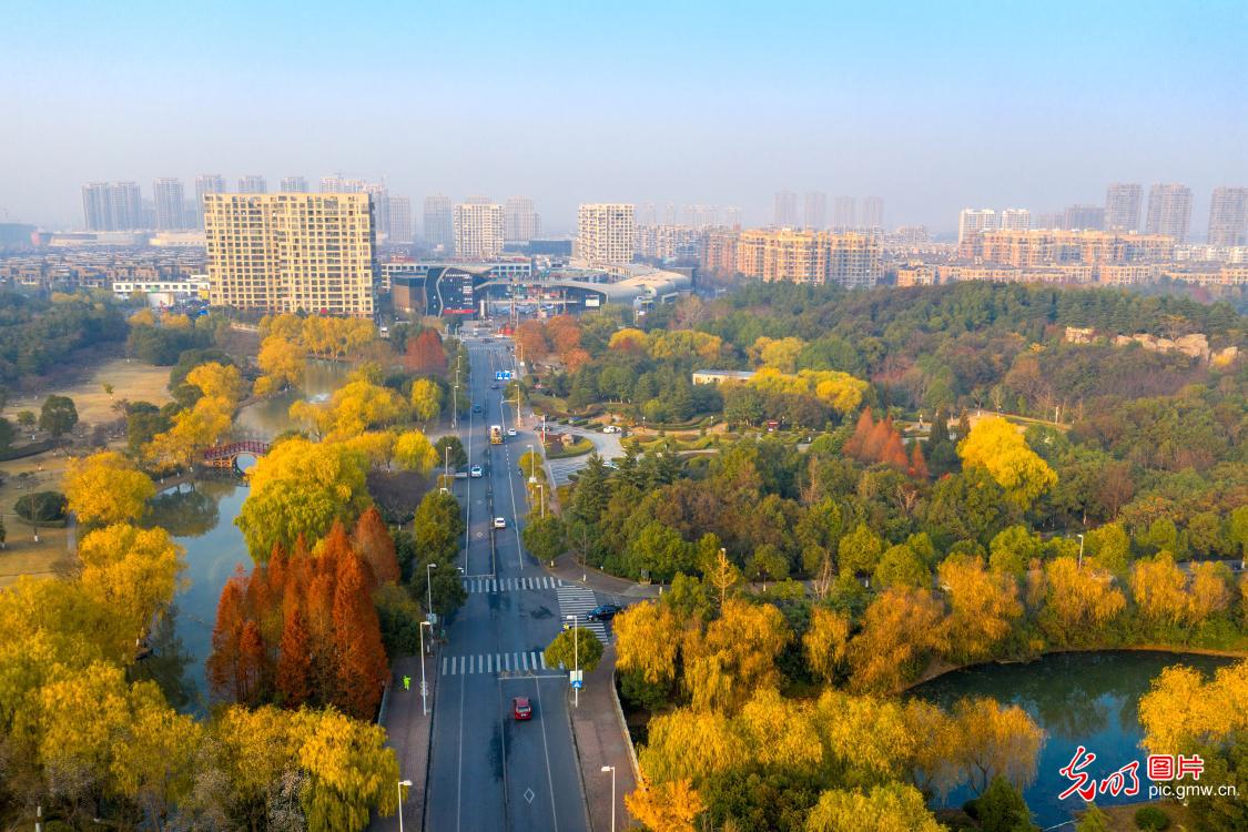 Winter scenery of Changxing, China’s Zhejiang