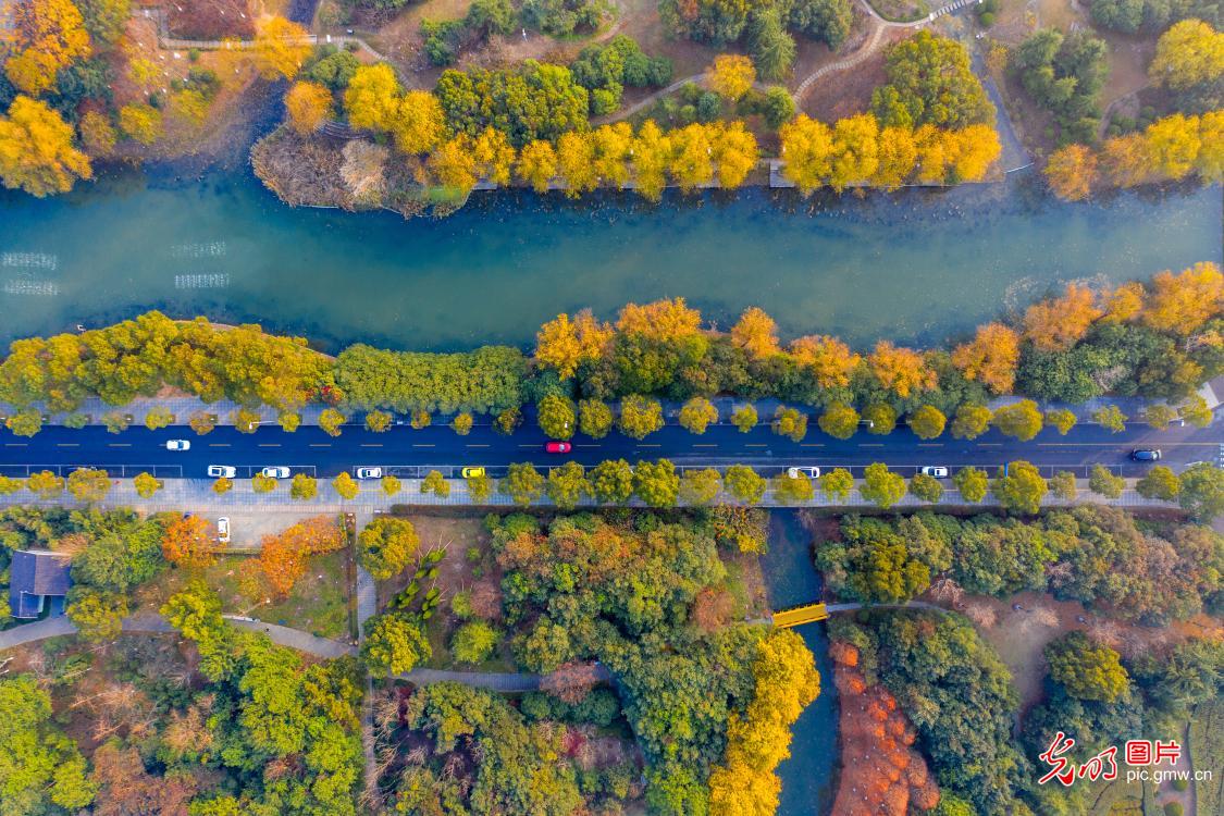 Winter scenery of Changxing, China’s Zhejiang