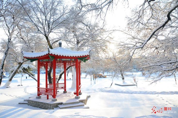 Snow scenery in N China's Jilin