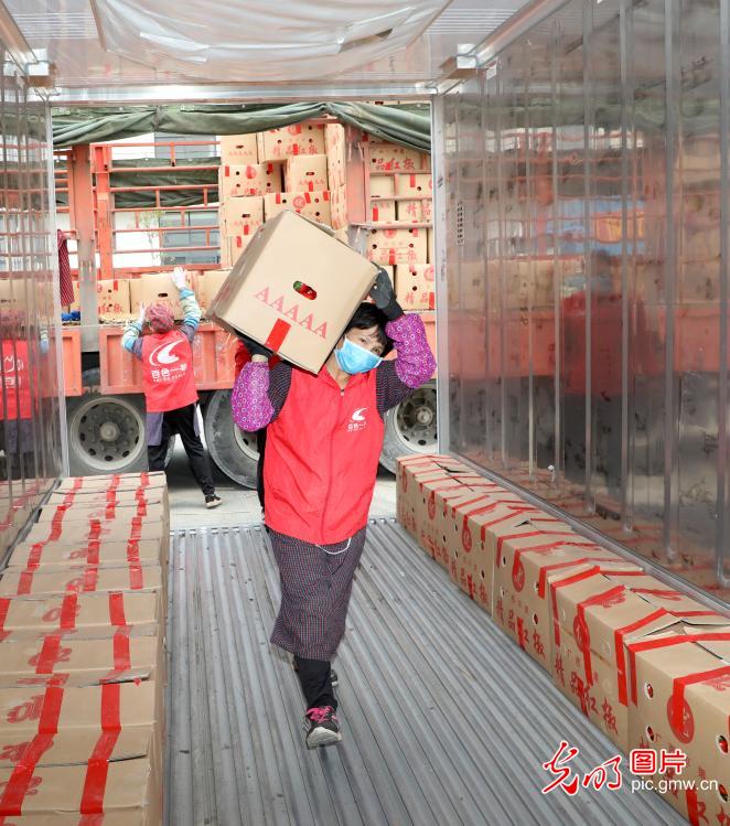 Guangxi donates vegetables and fruits to help fight NCP in Hubei