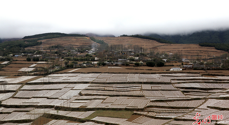 Spring breeze brings warmth to Daliang Mountain -- The road to poverty alleviation in Liangshan, Sichuan province