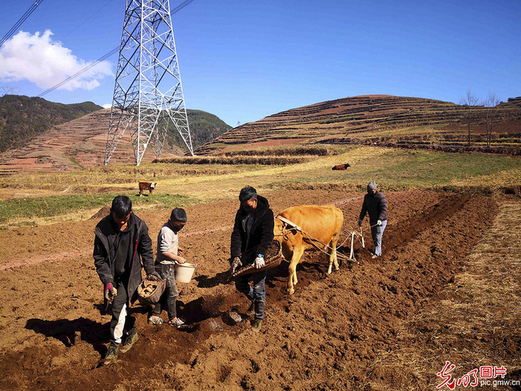 Spring breeze brings warmth to Daliang Mountain -- The road to poverty alleviation in Liangshan, Sichuan province