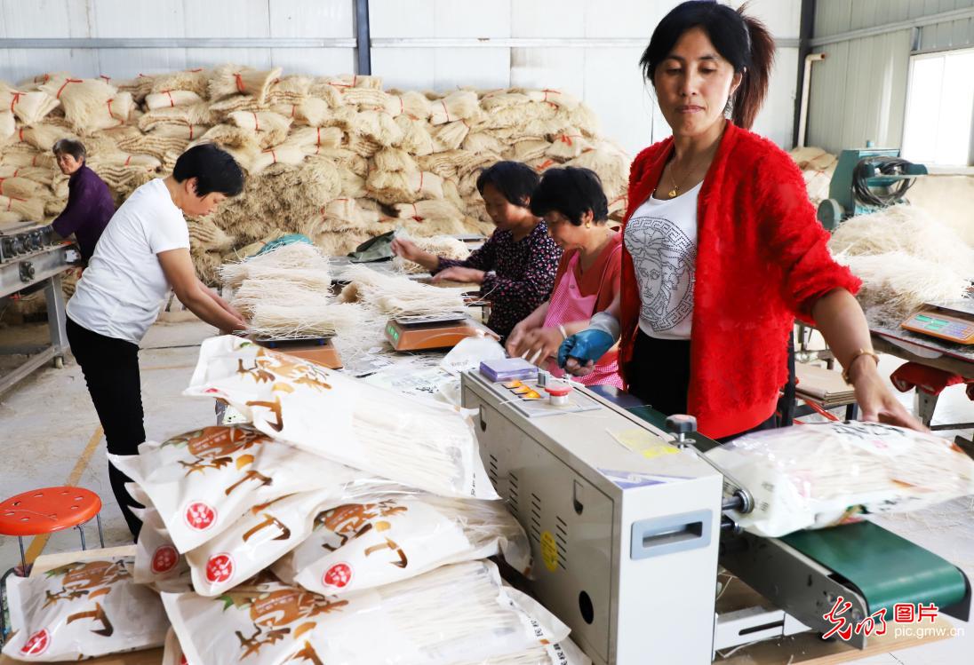 Rice noodles help to shake off poverty in C China’s Henan