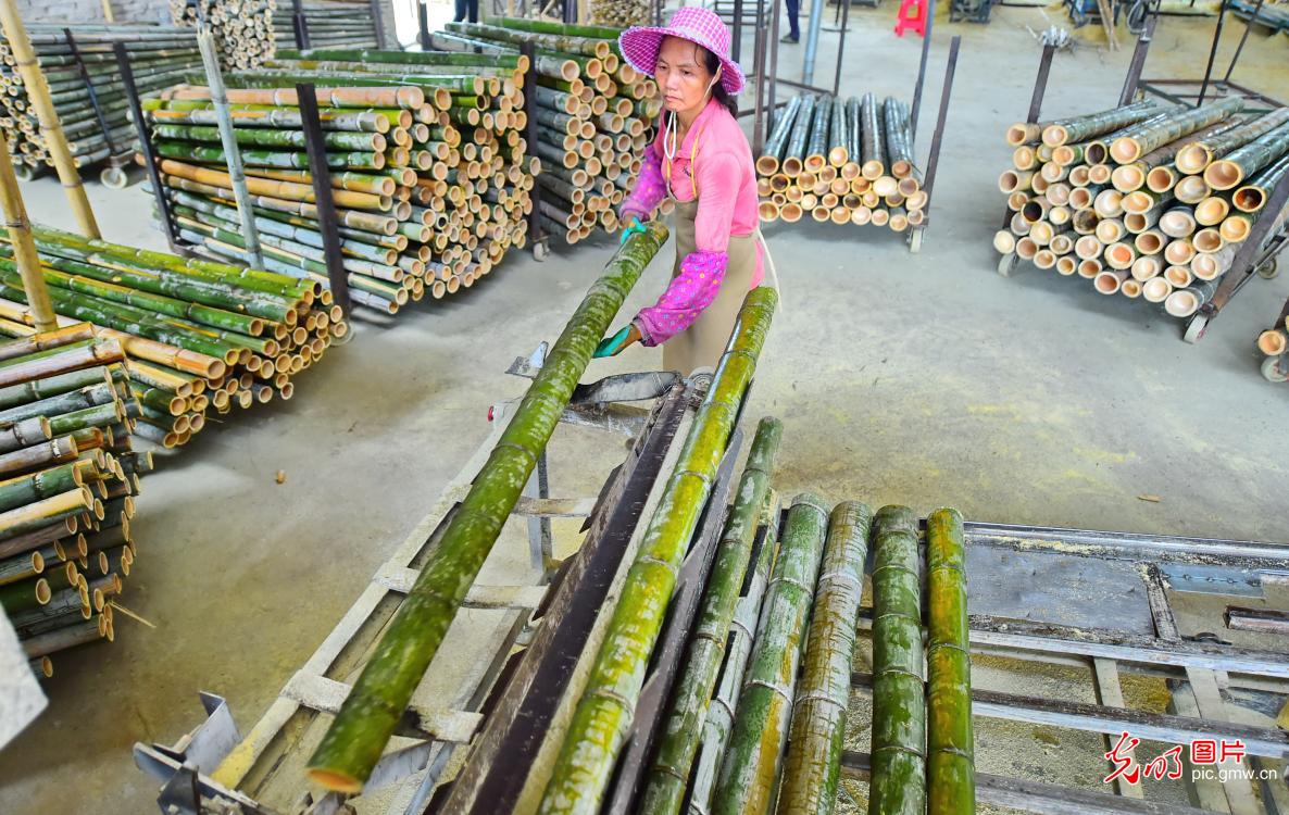 Jiangxi province, E China: bamboo industry boosting the green economy