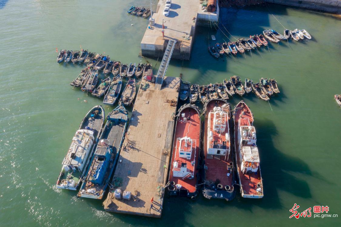 Fishing boats docked orderly at the Ping'an Fishing Port in E China's Shangdong Province during the closed fishing season