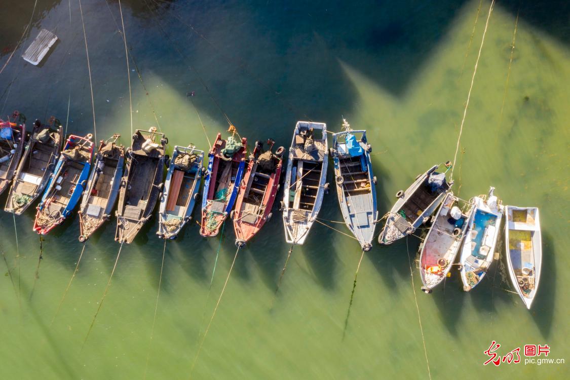 Fishing boats docked orderly at the Ping'an Fishing Port in E China's Shangdong Province during the closed fishing season