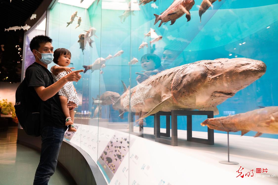 博物馆里享清凉