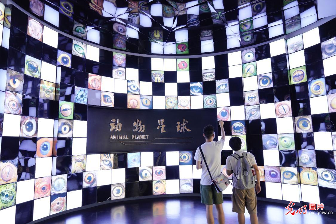 博物馆里享清凉