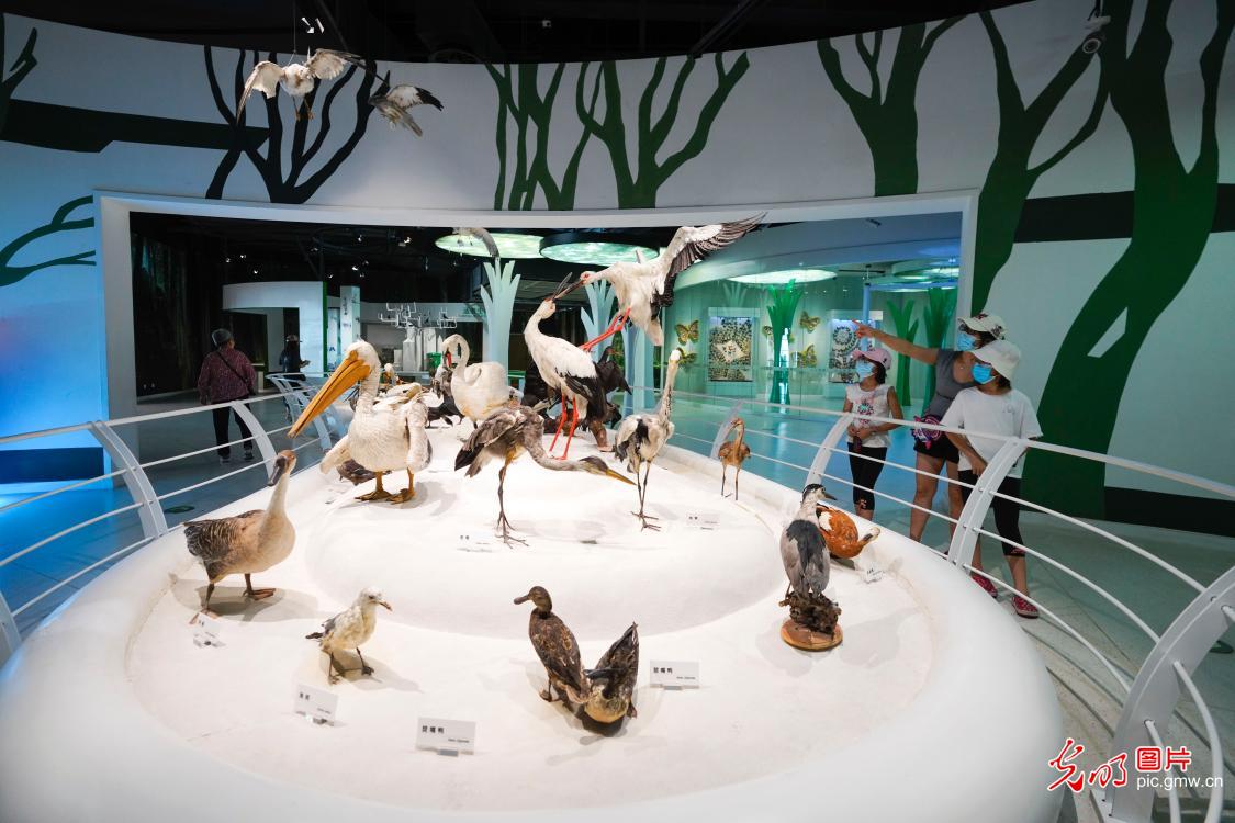 博物馆里享清凉