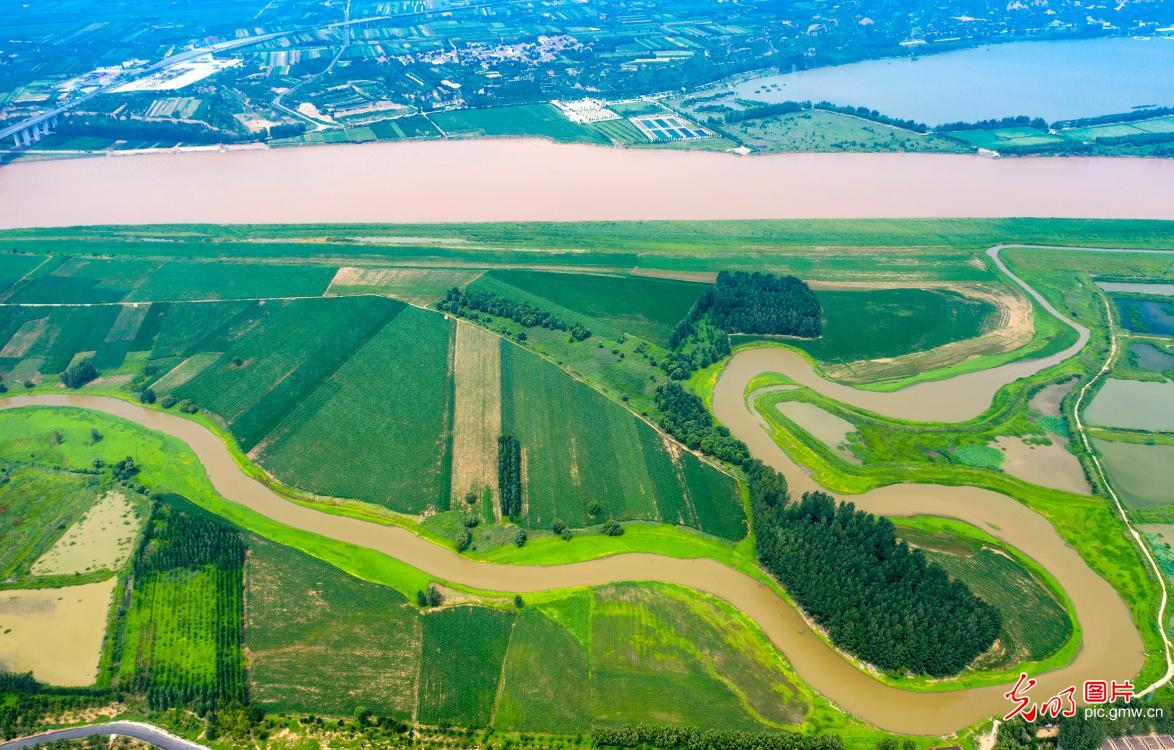 河南三门峡：打造百里黄河生态廊道见成效