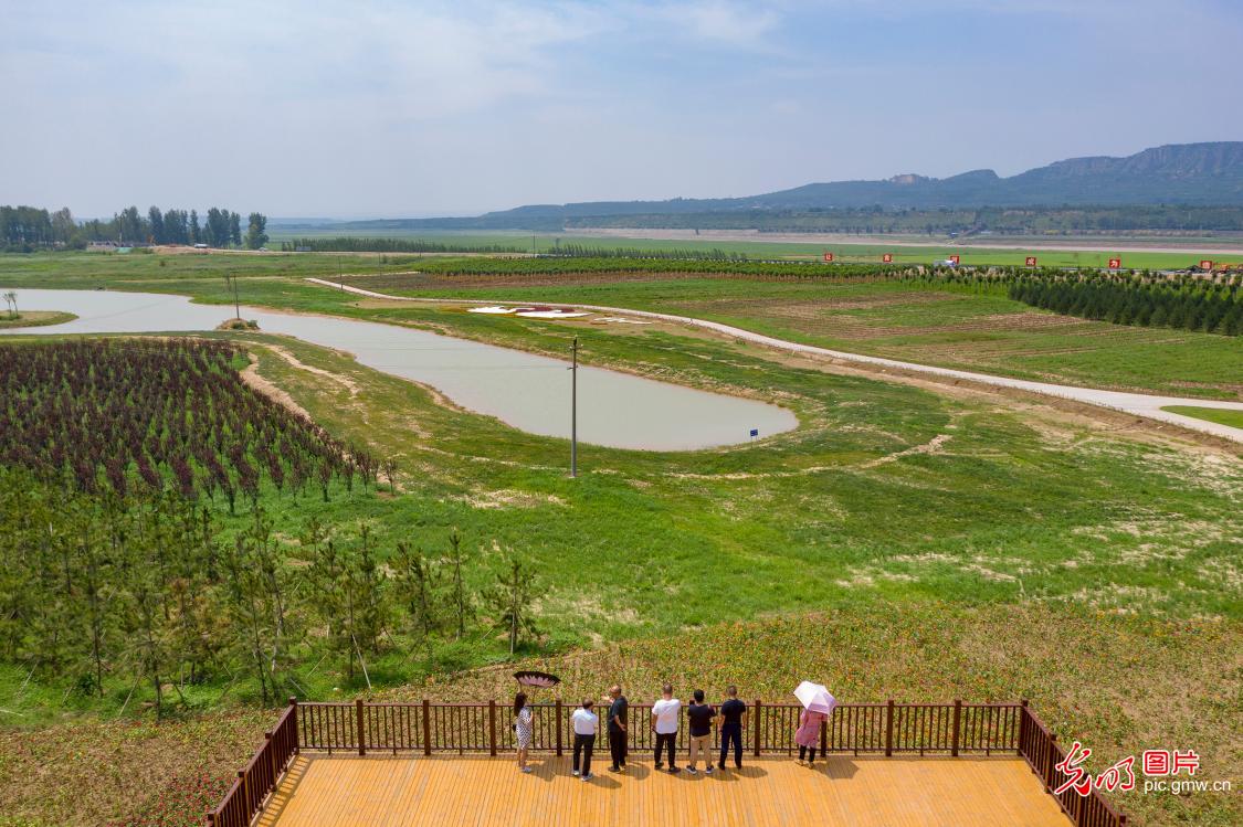 河南三门峡：打造百里黄河生态廊道见成效