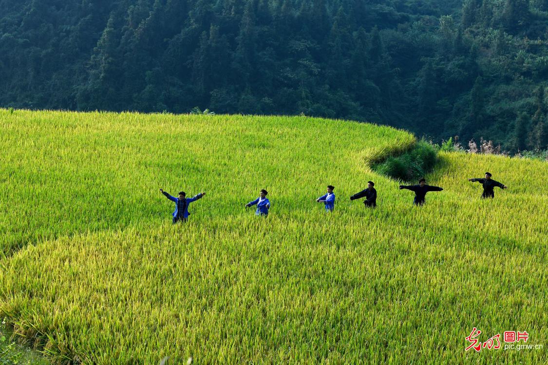 湖北恩施：摆手“舞”金秋