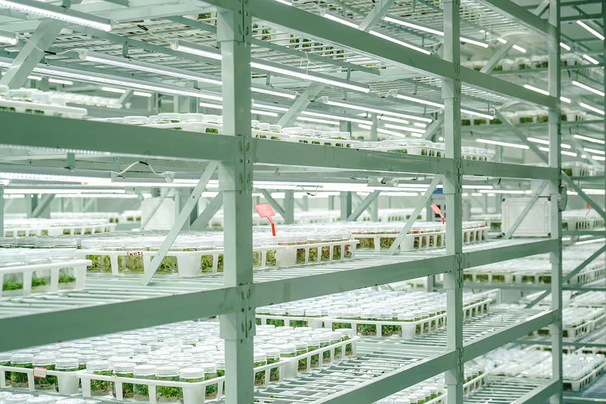 Jinshuo Seedling Cultivation Demonstration Base in E China's Fujian Province