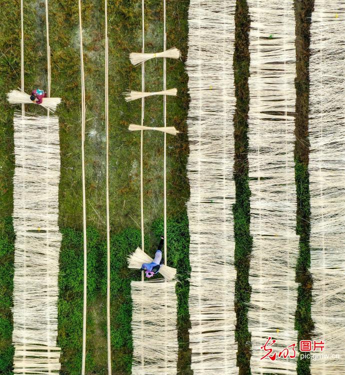 Farmers sorting semi-finished bamboo products in E China's Anhui Province