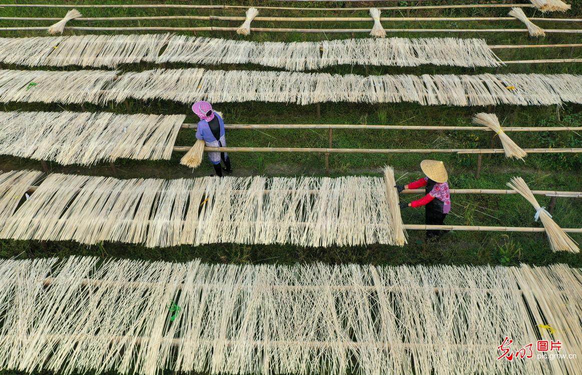 Farmers sorting semi-finished bamboo products in E China's Anhui Province