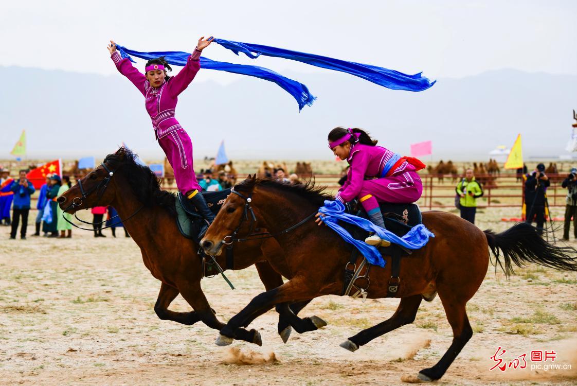 Equestrian event at the 2020 Camel Culture and Tourism Festival in N China's Inner Mongolia