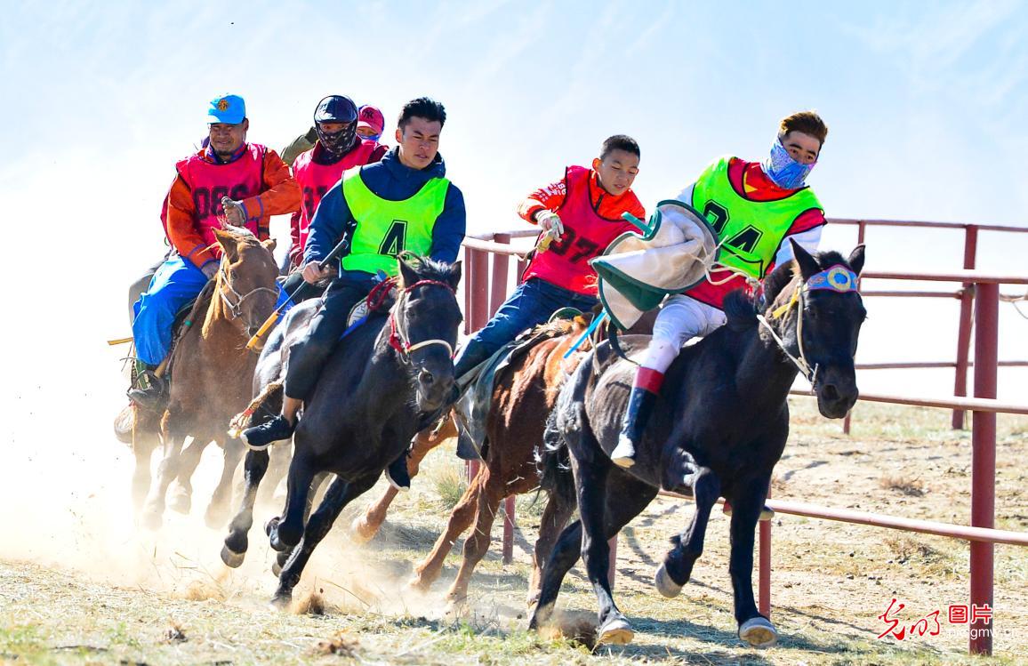 Camel racing in Bayannur, north China's Inner Mongolia