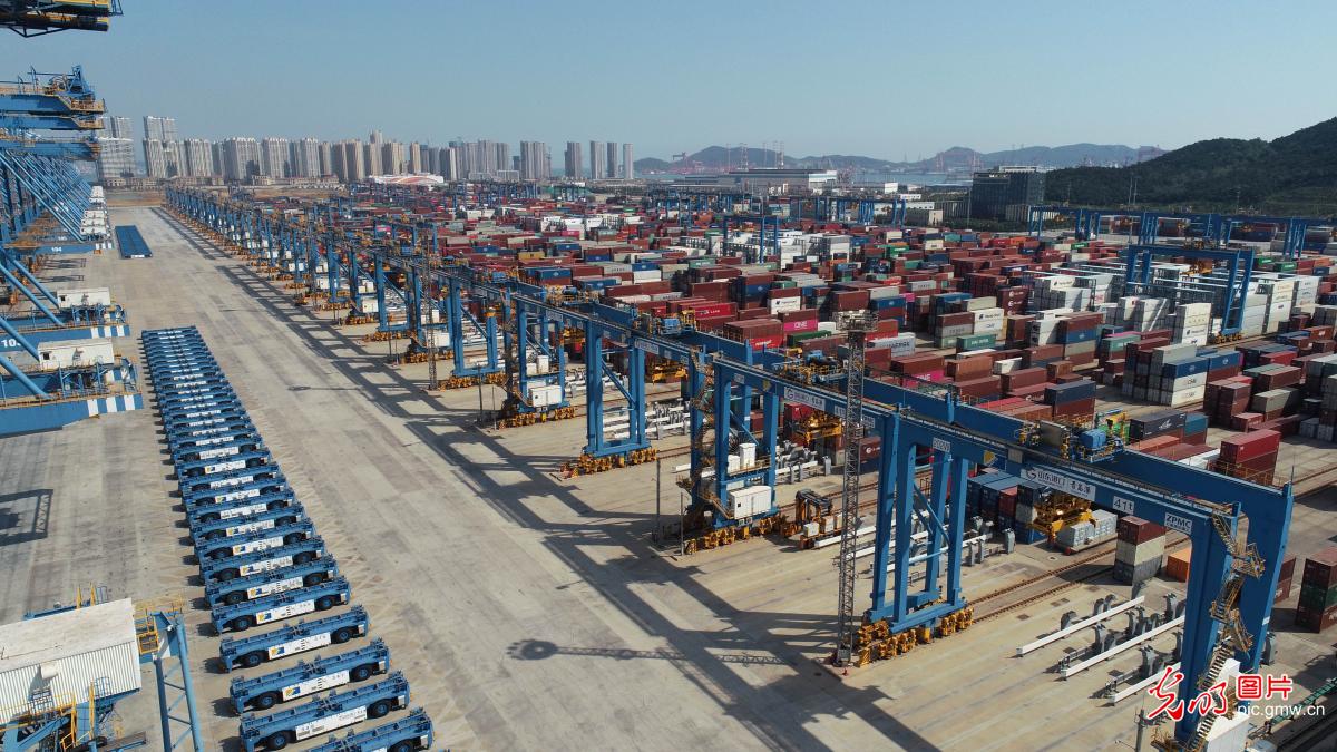 Bumper week for Qingdao unmanned container terminal