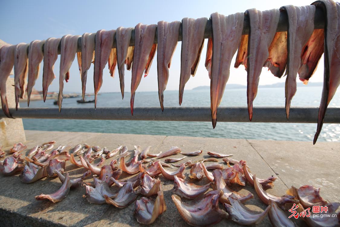 Fishermen making sweet sun-dried fish in east China's Shandong