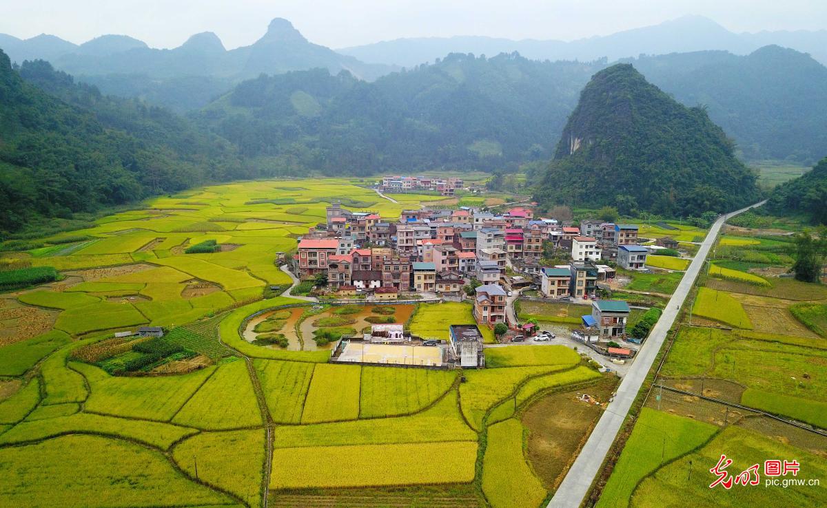 Beautiful rural scenery of S China's Guangxi