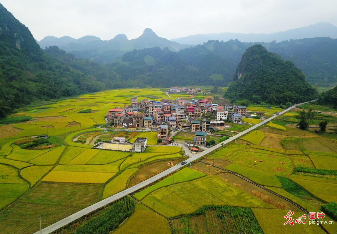 Beautiful rural scenery of S China's Guangxi