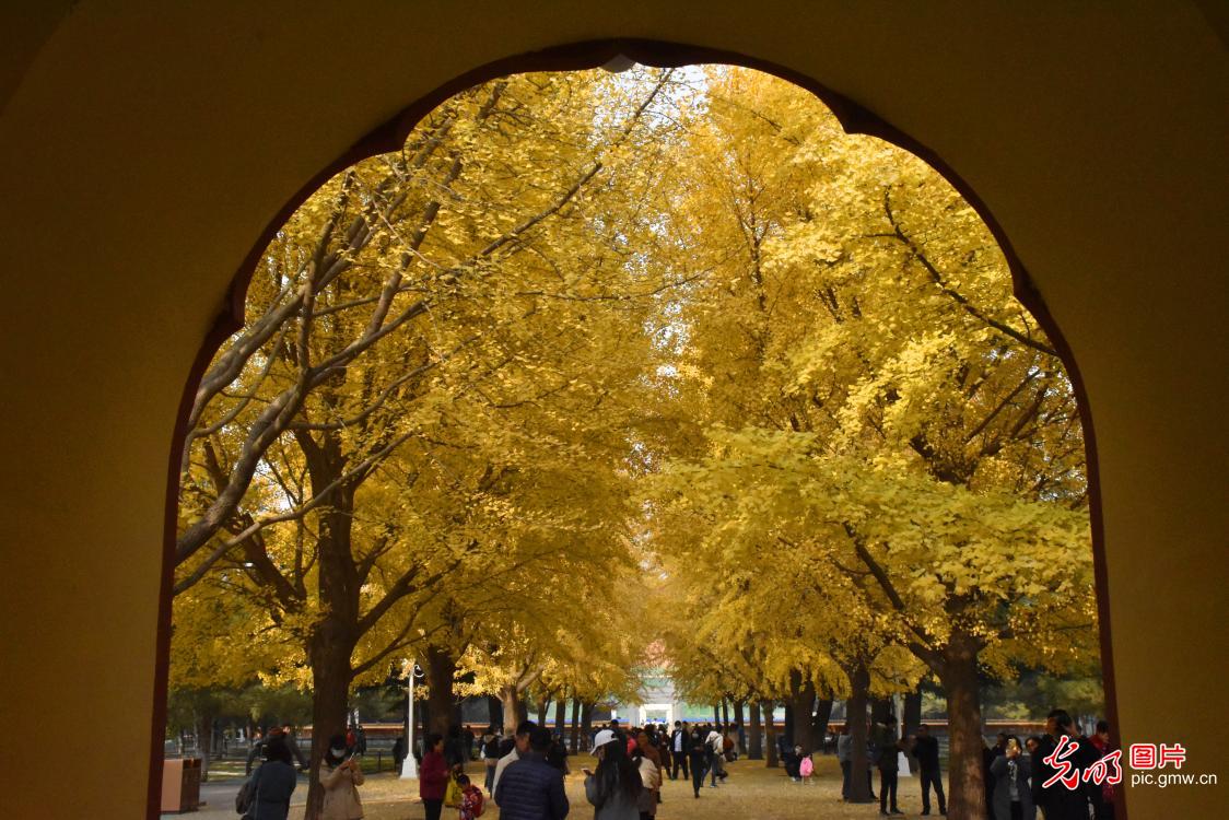Beautiful autumn scenery of Zhongshan Park in Beijing, China's capital city