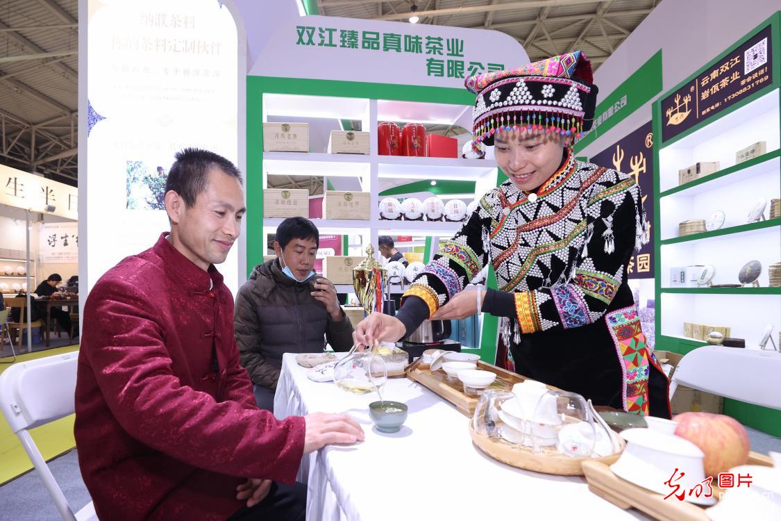 Yunnan tea introduced at Beijing Tea Expo