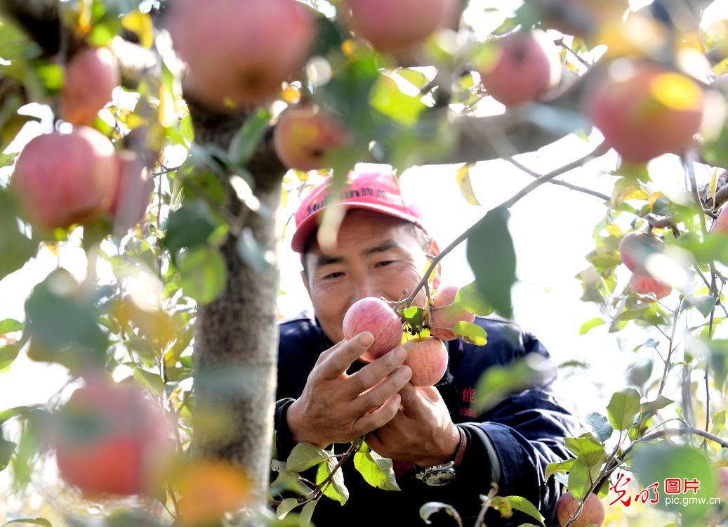 Binhai Modern Agricultural Industrial Park in east China's Jiangsu Province