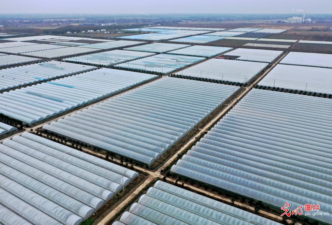 Binhai Modern Agricultural Industrial Park in east China's Jiangsu Province