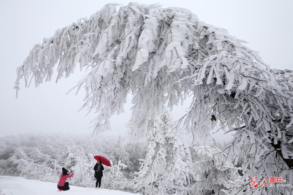 December brings the first significant snowfall in C China's Chongqing