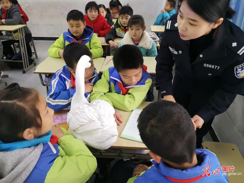 Migratory birds protection in China