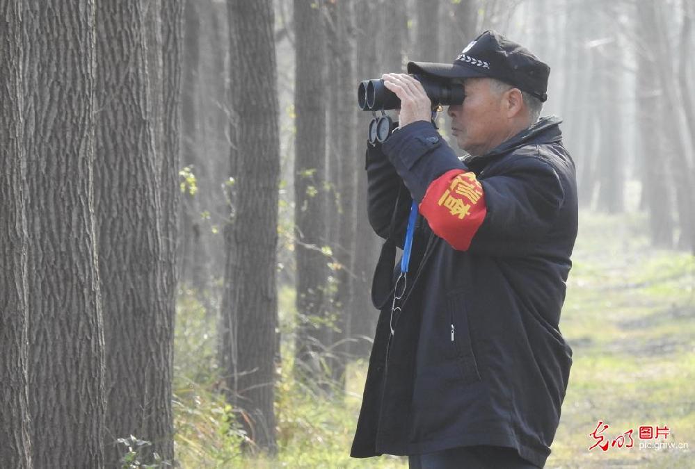 Migratory birds protection in China