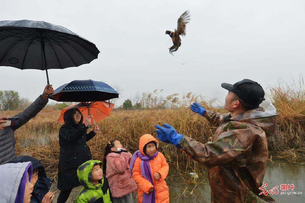 Migratory birds protection in China