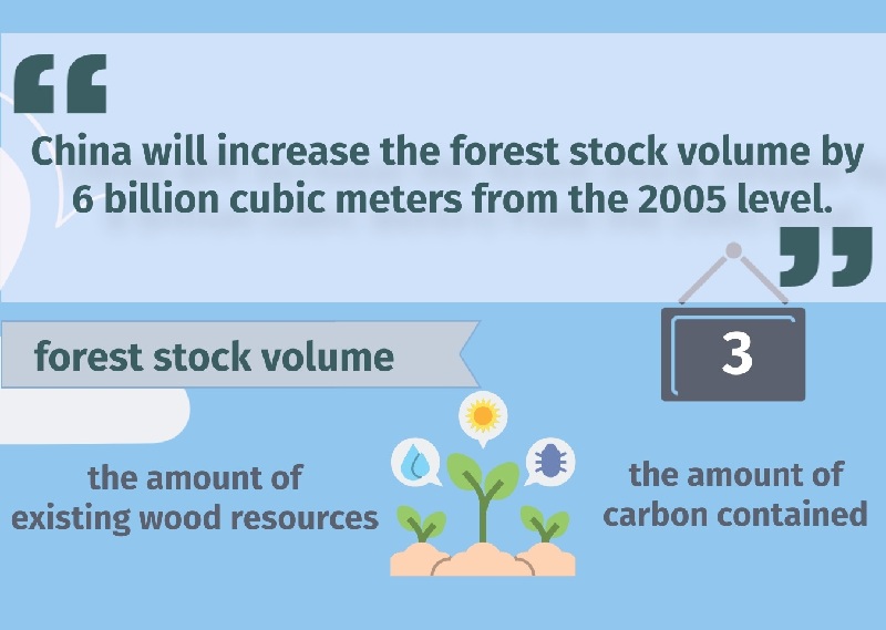 China's new 2030 climate targets to peak carbon emissions, explained