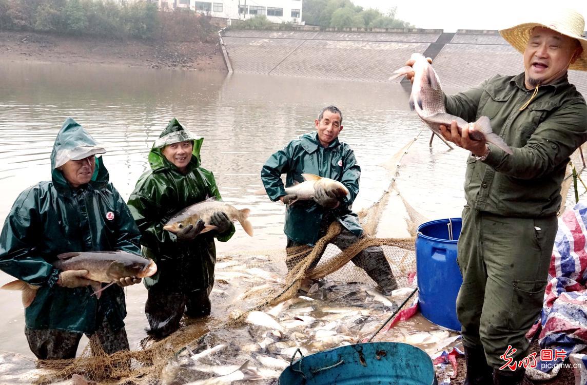 A good harvest of fish in E China's Zhejiang Province