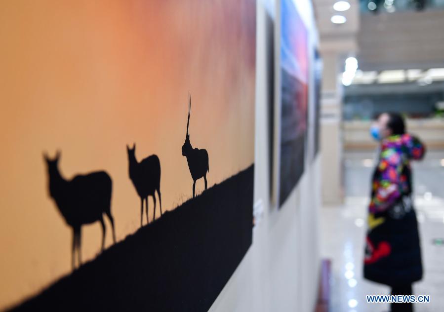 Wildlife photography exhibition kicks off at Jinlin Province Library