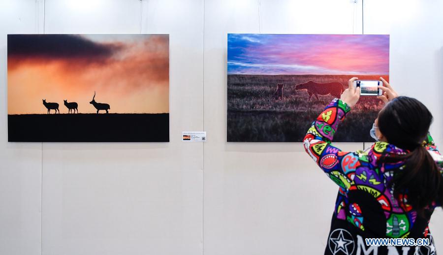 Wildlife photography exhibition kicks off at Jinlin Province Library