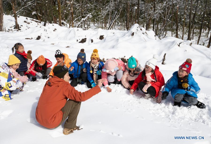SW China's Yingjing County organizes activities to boost local education in natural environment